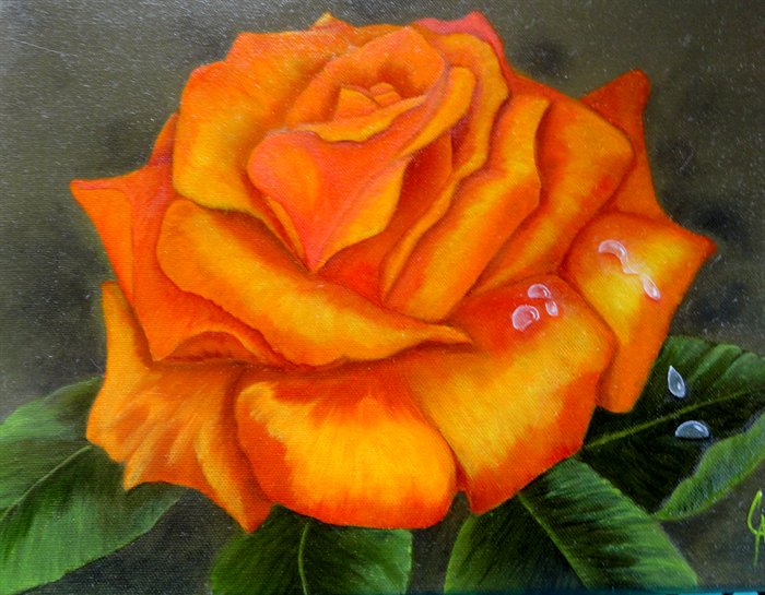 2011 Orange Rose